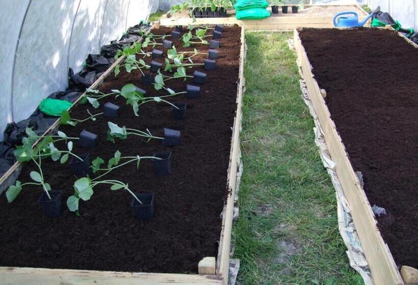 Allsta Gård Kretsloppshuset B&b