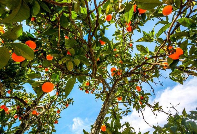 مبيت وإفطار Casa Da Nora