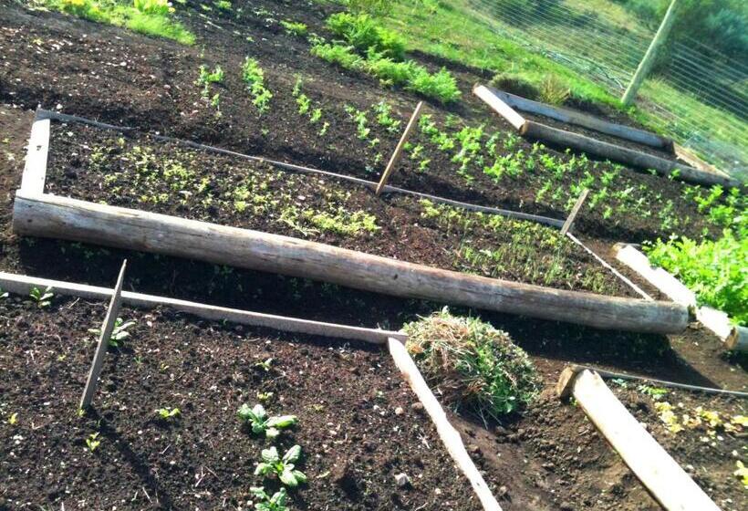 Bed and Breakfast El Ahora