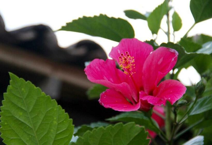 مبيت وإفطار Hostal Mi Castillo