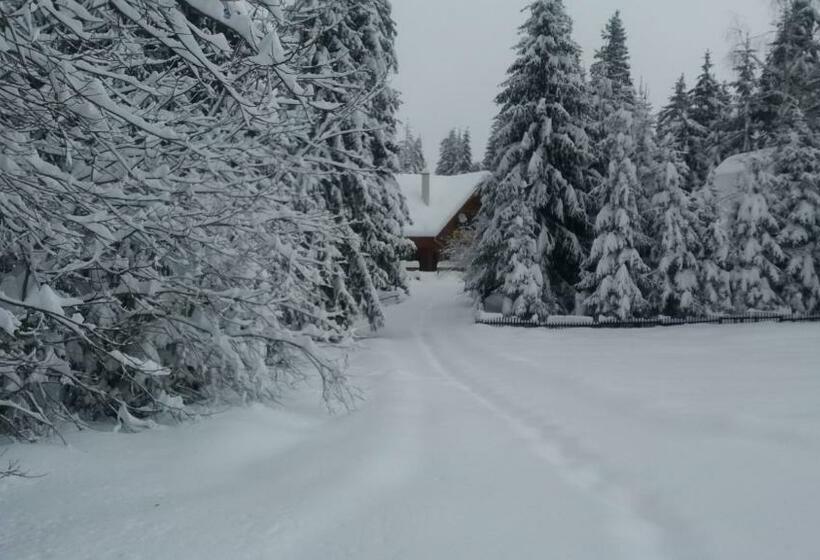 ベッドアンドブレックファースト Mofetta Panzió