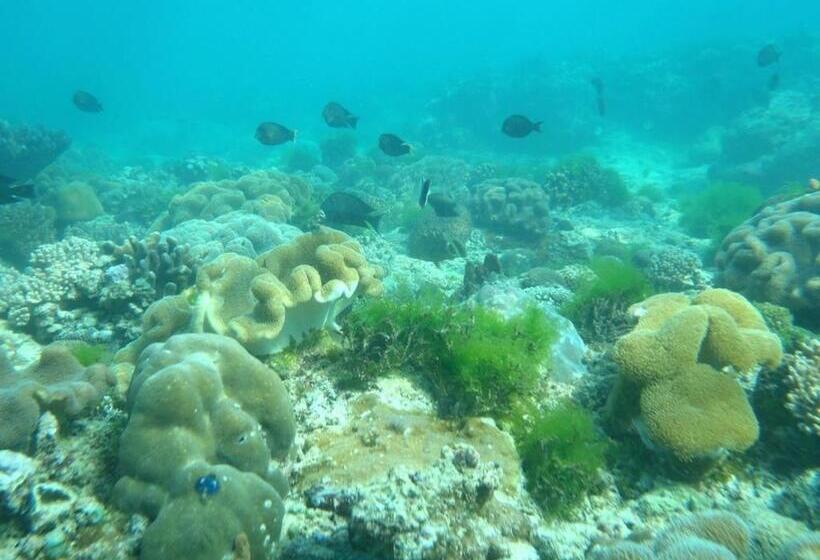 مبيت وإفطار Oro Beach Houses