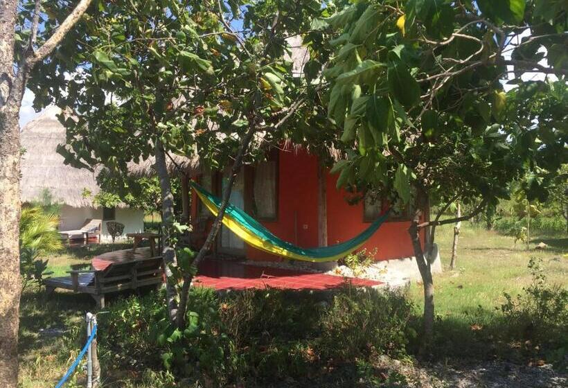 住宿加早餐  Oro Beach Houses