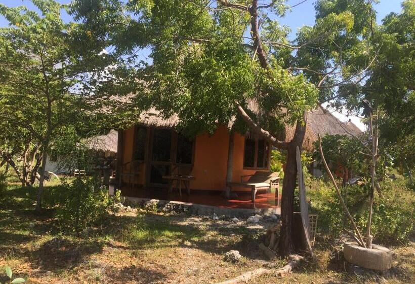 مبيت وإفطار Oro Beach Houses