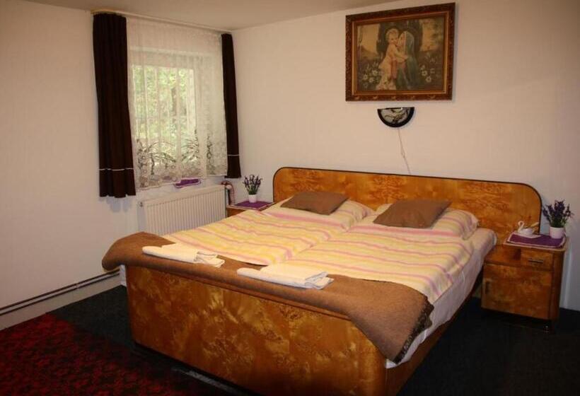 Bed and Breakfast Penzion Valovi