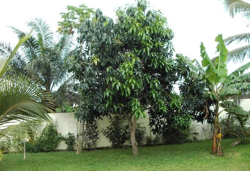 住宿加早餐  Sampson S Guesthouse Company Ltd