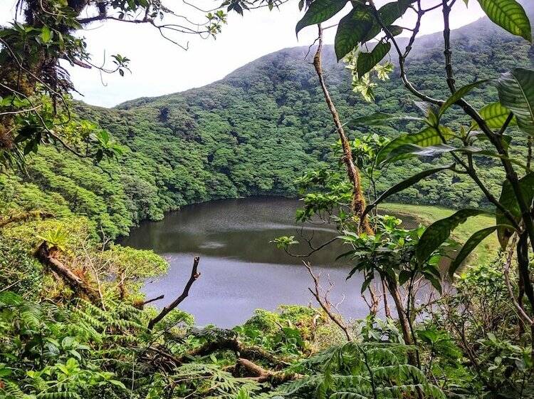 住宿加早餐 Selvista Guesthouses