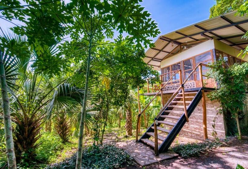 住宿加早餐 Selvista Guesthouses