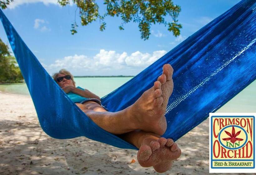 مبيت وإفطار The Crimson Orchid Inn At Orchid Bay