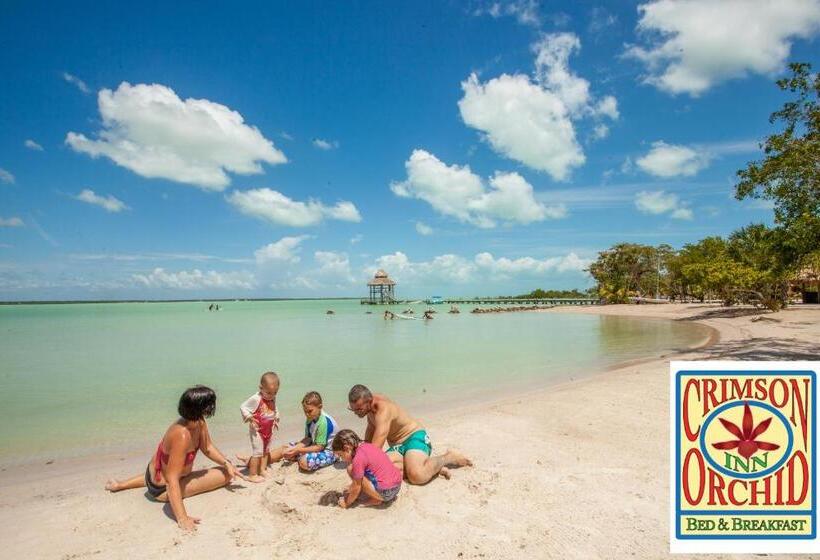 مبيت وإفطار The Crimson Orchid Inn At Orchid Bay