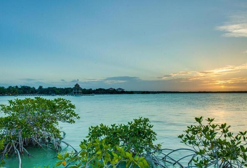 مبيت وإفطار The Crimson Orchid Inn At Orchid Bay