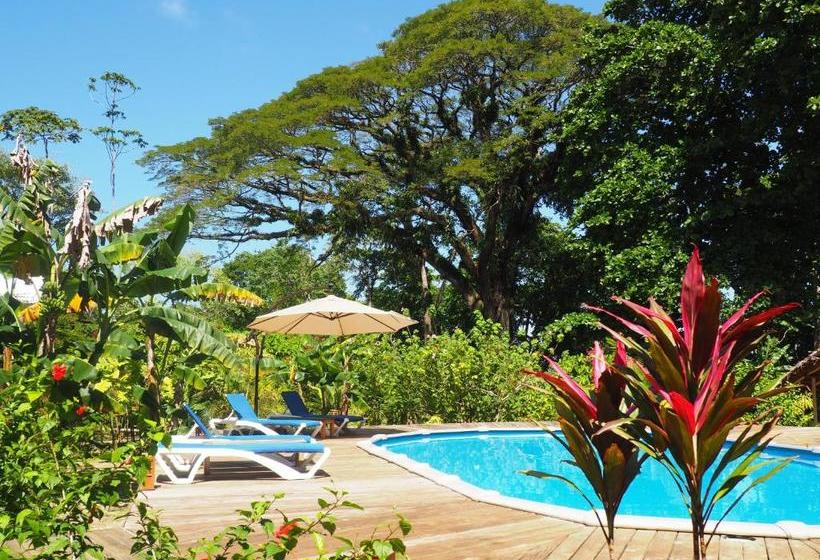 민박 The Hummingbird