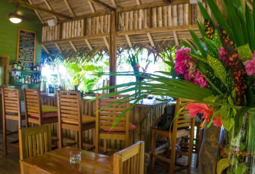 민박 The Hummingbird