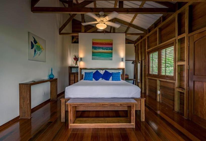 민박 The Hummingbird