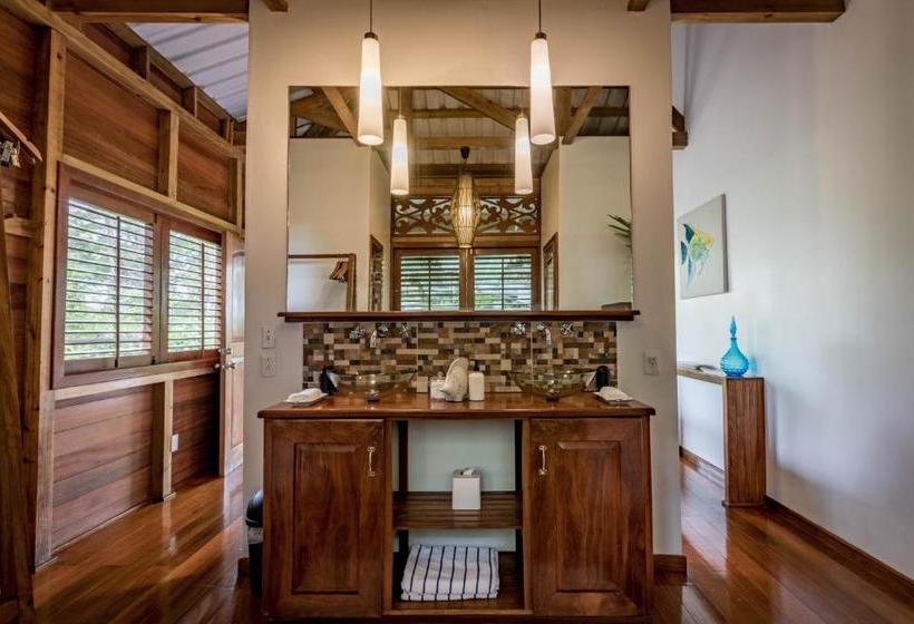 민박 The Hummingbird