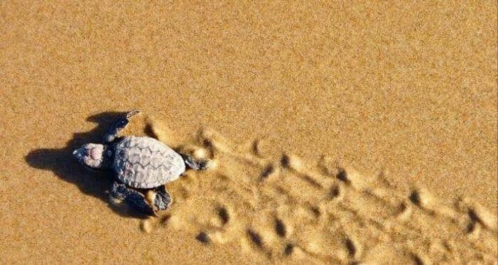 Bed & Breakfast The Lookout Beach