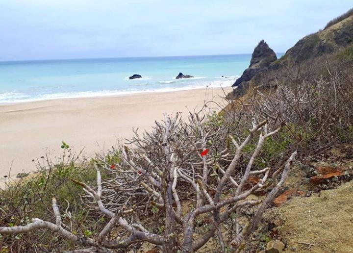 مبيت وإفطار The Lookout Beach