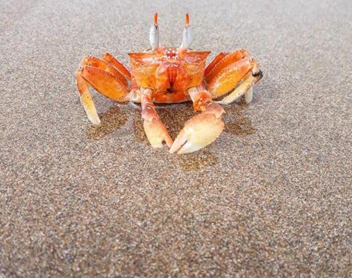 Bed & Breakfast The Lookout Beach