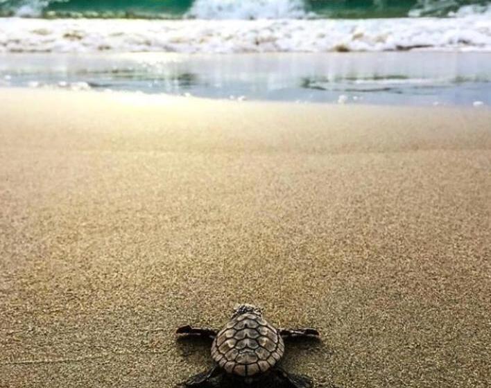 Bed & Breakfast The Lookout Beach