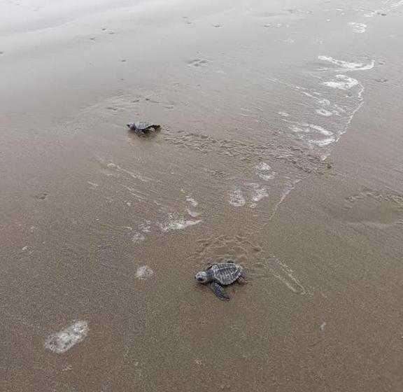 Bed & Breakfast The Lookout Beach