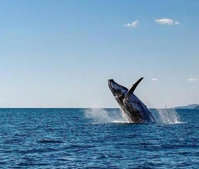 Bed & Breakfast The Lookout Beach