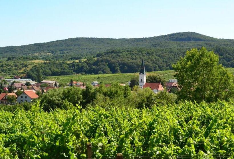 צימר Villa Vinica