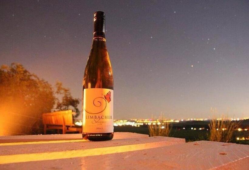 צימר Villa Vinica