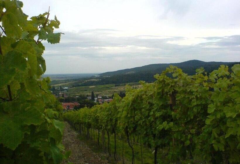 مبيت وإفطار Villa Vinica