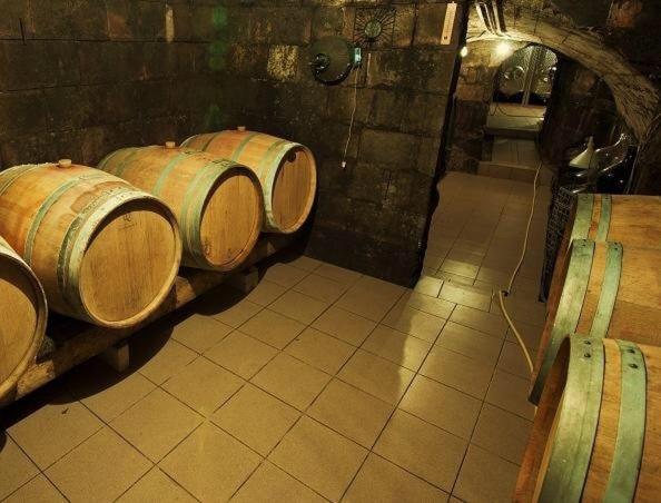 مبيت وإفطار Villa Vinica