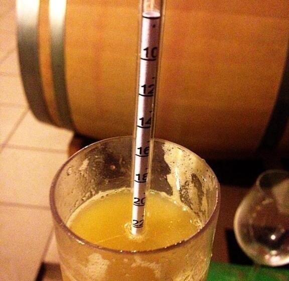 مبيت وإفطار Villa Vinica