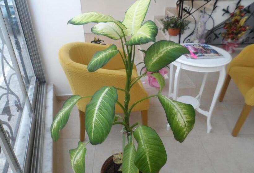 ベッドアンドブレックファースト Zen Inn Boutique