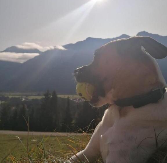 Frühstückspension Lemberger