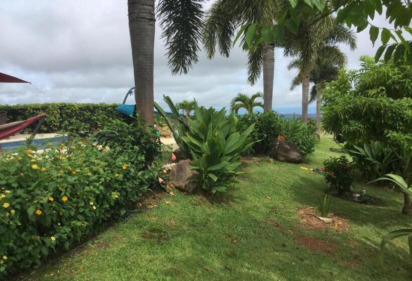 Hawk's Nest Bed & Breakfast