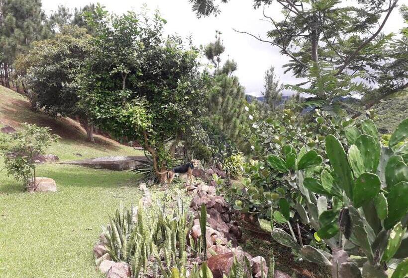 Hawk's Nest Bed & Breakfast