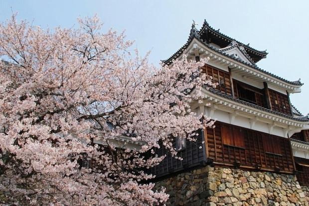 هتل Aloha Inn Aine