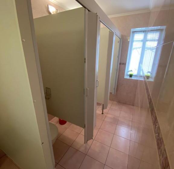 בית מלון כפרי Boguslavl