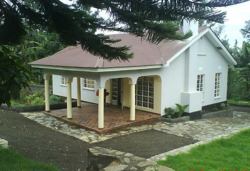 Отель Coffee Farm Guest House