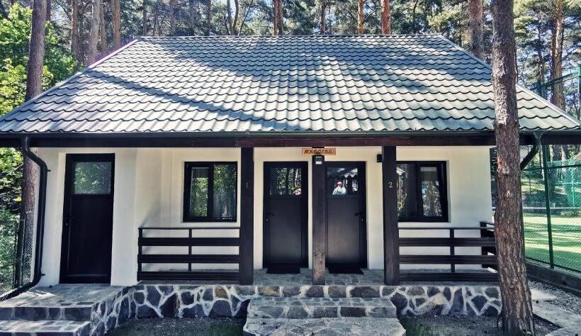 酒店 Complex Parc Pini Moinesti