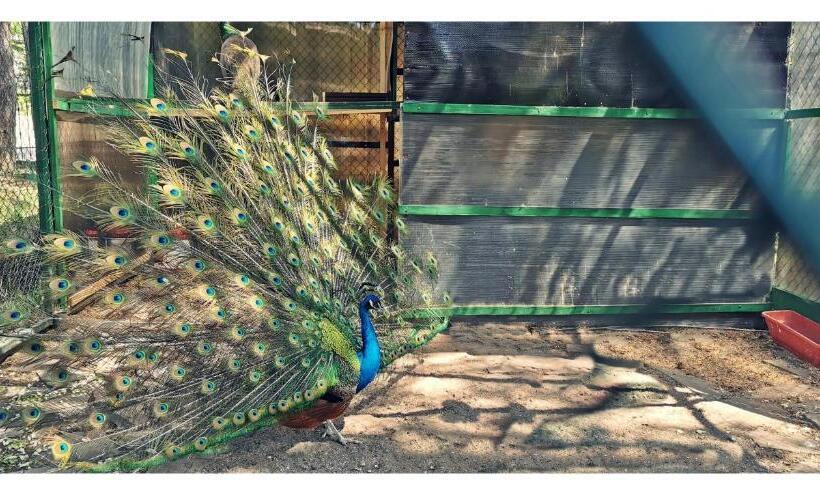 酒店 Complex Parc Pini Moinesti