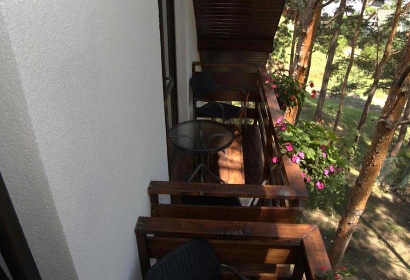 酒店 Complex Parc Pini Moinesti