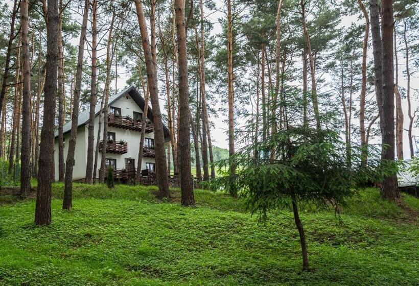 酒店 Complex Parc Pini Moinesti