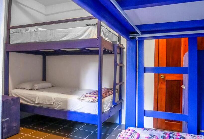 Отель Drift Inn Cayo