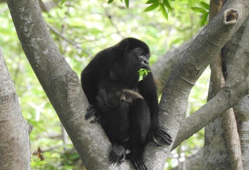 فندق Finca La Magia