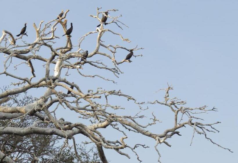 فندق Finca La Magia