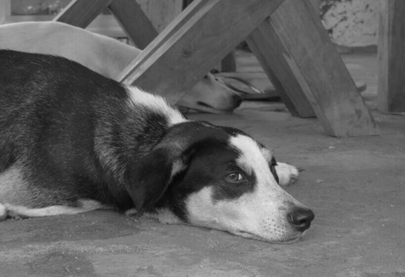 فندق Finca La Magia