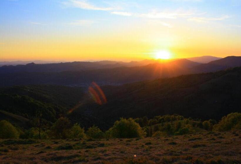 בית מלון כפרי Golden Palace