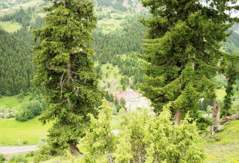 Отель Green Valley Savsat