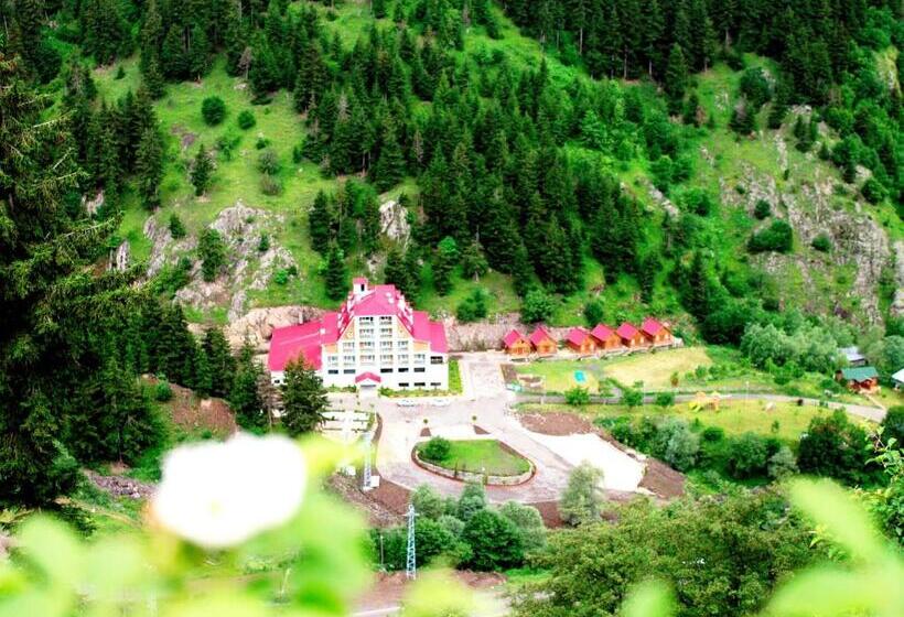 Отель Green Valley Savsat