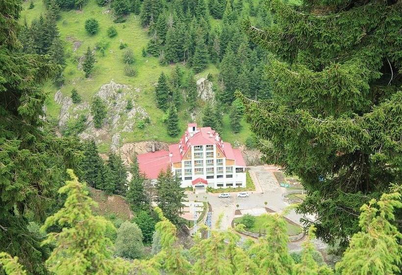 Отель Green Valley Savsat