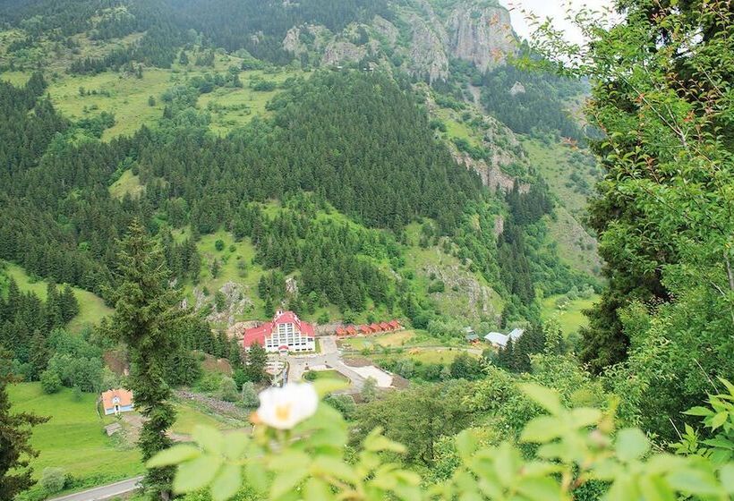 Отель Green Valley Savsat